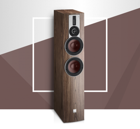 Vloerstaande Luidspreker